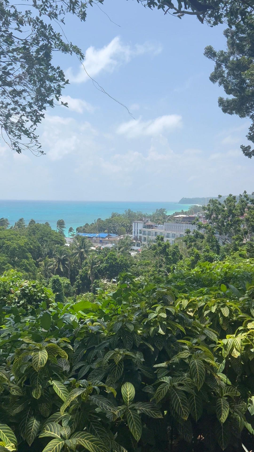 The sea seen from the hill, above the trees